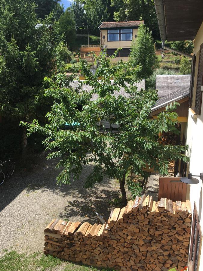 Charmant Appartement Sur Cour, Le Cerisier Bagnères-de-Bigorre Exteriör bild