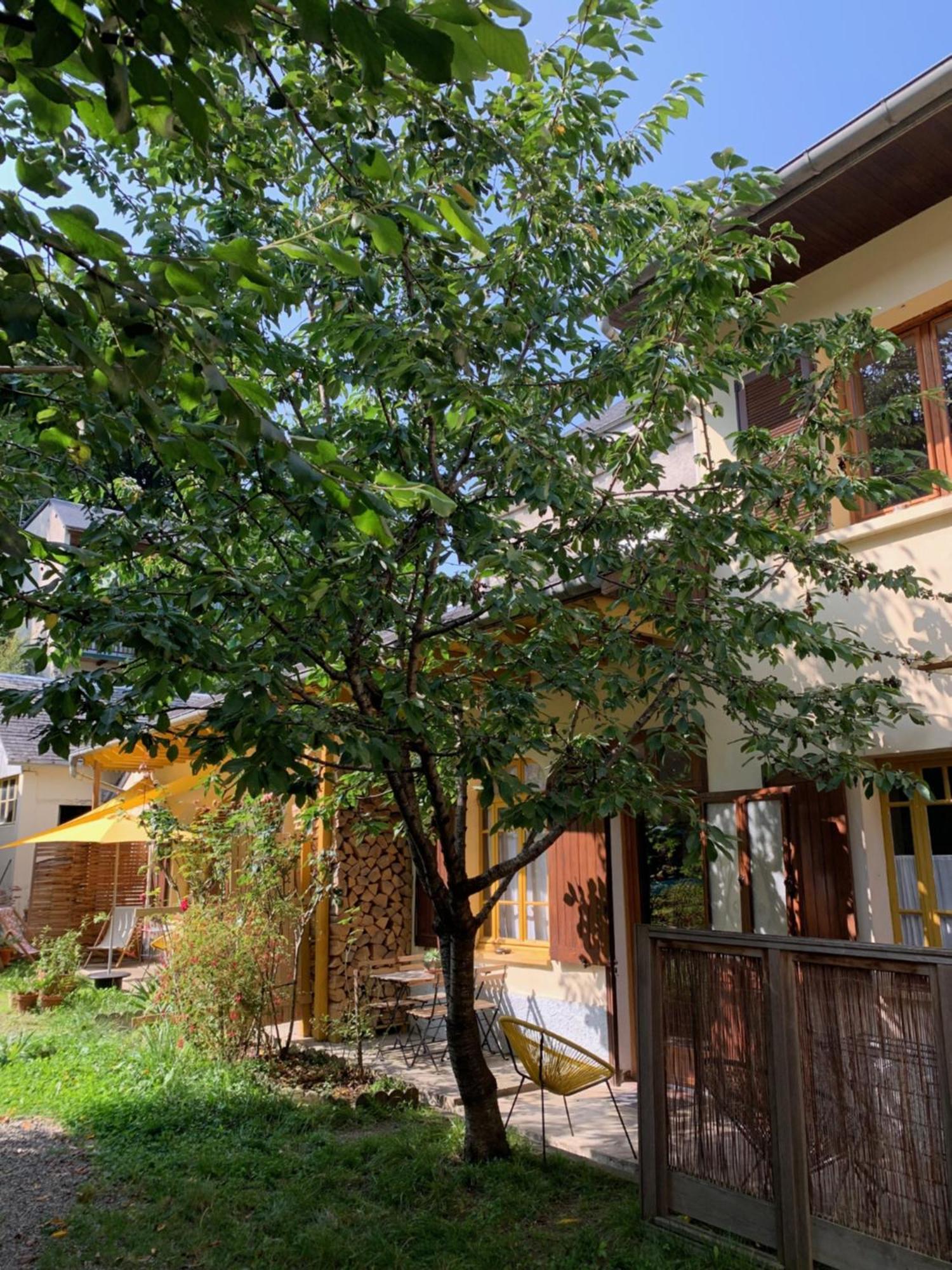 Charmant Appartement Sur Cour, Le Cerisier Bagnères-de-Bigorre Exteriör bild