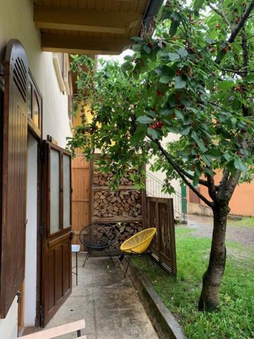 Charmant Appartement Sur Cour, Le Cerisier Bagnères-de-Bigorre Exteriör bild