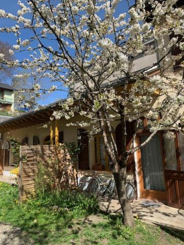 Charmant Appartement Sur Cour, Le Cerisier Bagnères-de-Bigorre Exteriör bild